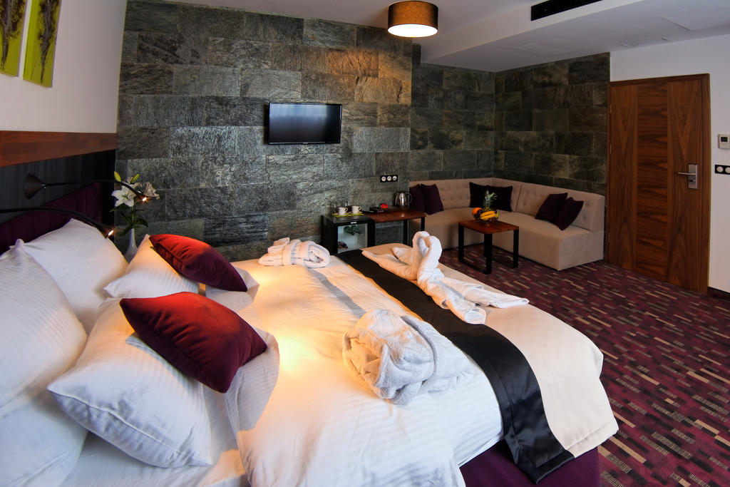 Hotel Modus Laziska Gorne Екстер'єр фото